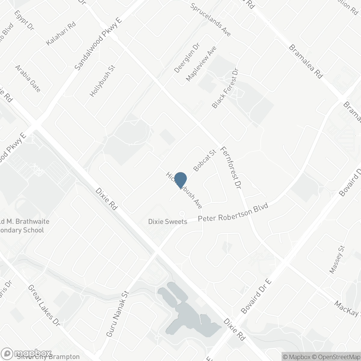 41 BOBCAT STREET, Brampton, Ontario L6R 1C8